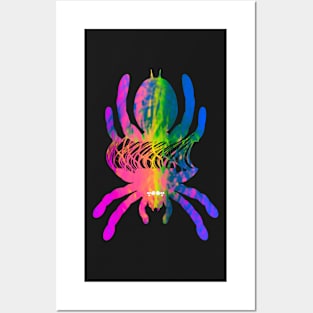Tarantula Silhouette V36 (Tie Dye) Posters and Art